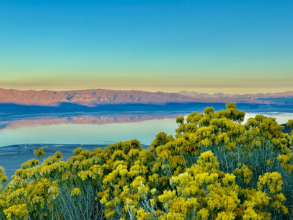 View of the water and forests in Alabama