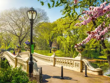 Central Park Bow Bridge in the spring
