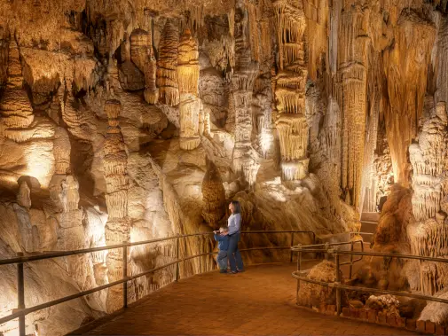 luray-caverns-totem-poles.jpg