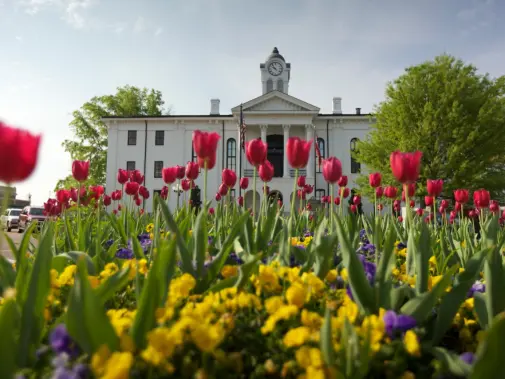 courthouse_spring.jpg