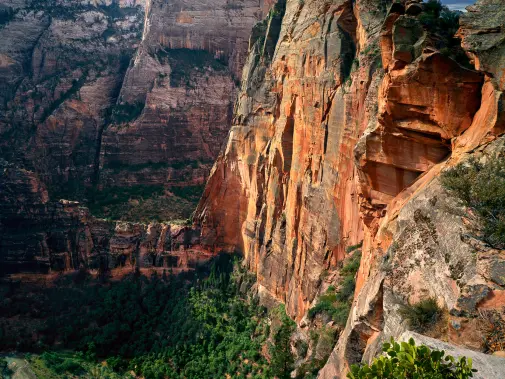 angels-landing_credit-david-pettit.jpg